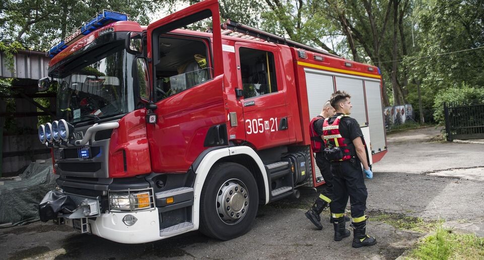    Attila Husejnow / Global Look Press