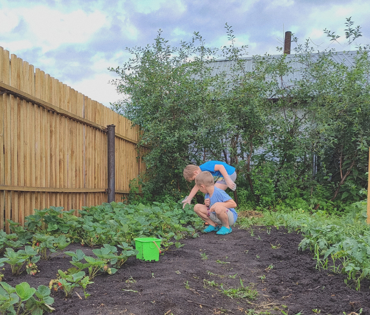 Паша и Вадим ищут слизней