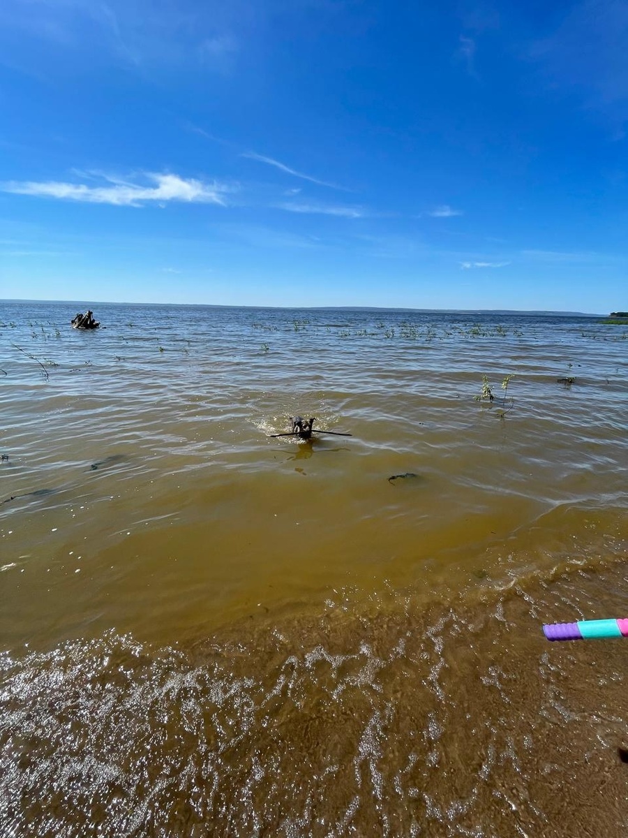 Пора отпусков, дач🏡💦🏝

Хвостики тоже радуются лету 🤗 Радуются теплу, воде и возможности полежать на зелёной травке🌱🌿☘️🍀🌳🌲

Хорошо, когда ты дома и любим❤️

Не бойтесь брать взрослых собак,...