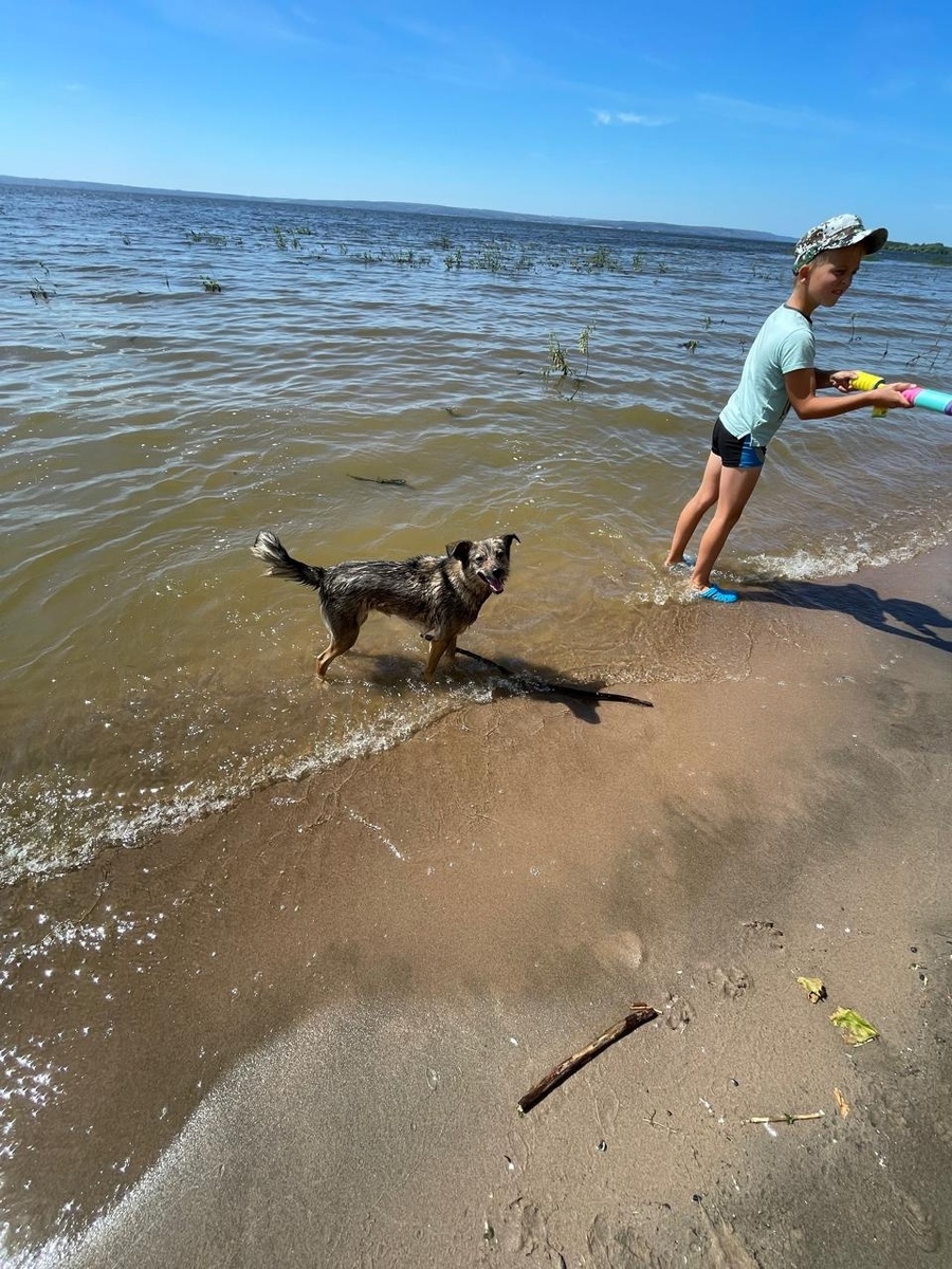 Пора отпусков, дач🏡💦🏝

Хвостики тоже радуются лету 🤗 Радуются теплу, воде и возможности полежать на зелёной травке🌱🌿☘️🍀🌳🌲

Хорошо, когда ты дома и любим❤️

Не бойтесь брать взрослых собак,...-2