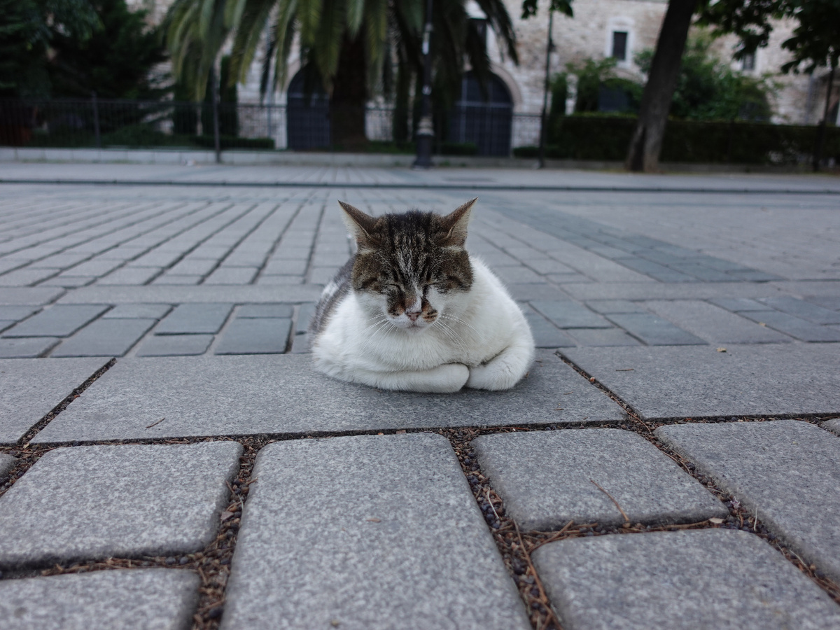 Кто узнает место - тот большой молодец