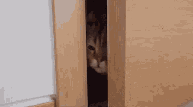 -3