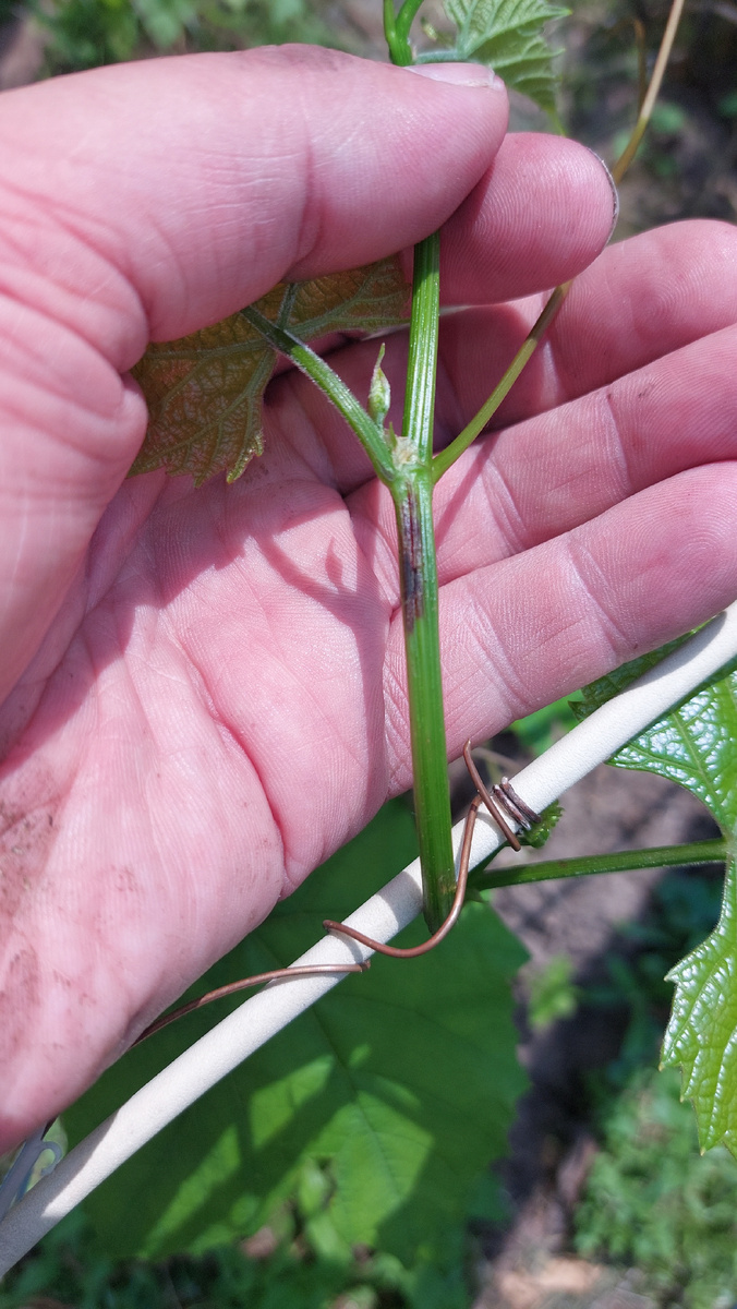 Фото подписчика. 