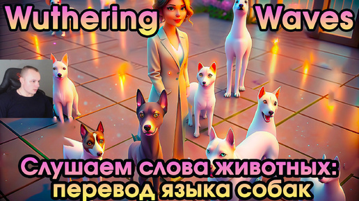 Wuthering Waves ➤ Слушаем слова животных: перевод языка собак ➤ Listen to Animals' Words: Translation of Dog's Language Walkthrough ➤ WUWA