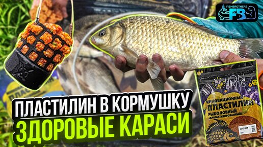 Фидерная ловля на рыболовный ПЛАСТИЛИН! Караси, лещи и Краснокнижная рыба!