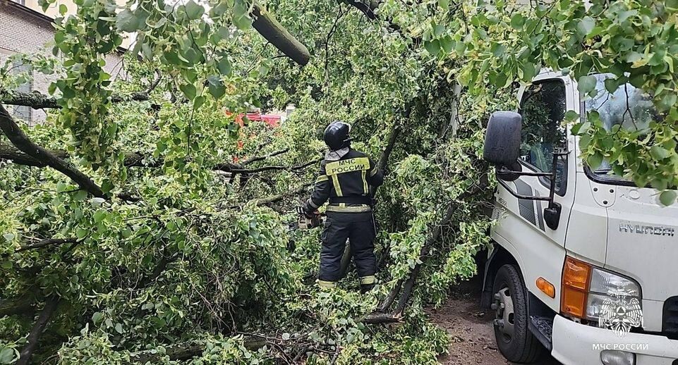    Telegram / МЧС России
