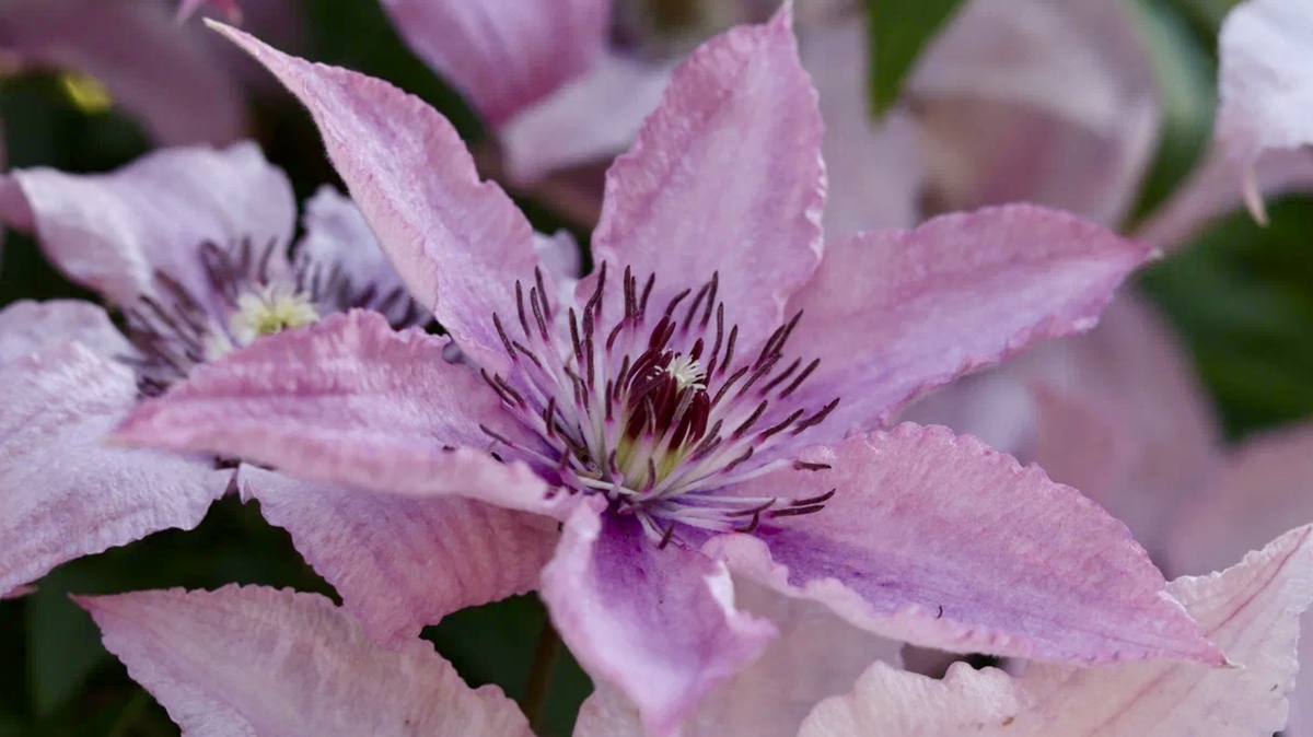 Фото из личного архива