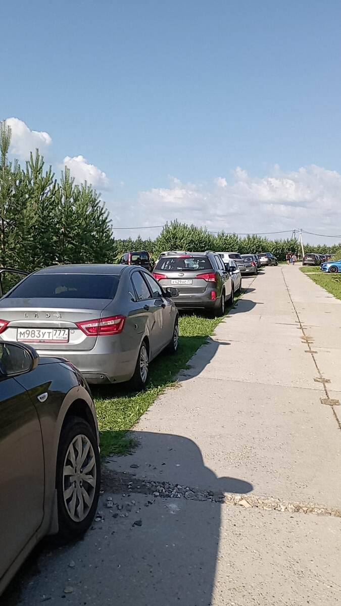 Фото автора. 