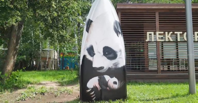 С момента своего рождения почти год назад — 30 августа 2023 года — панда Катюша стала настоящим символом Московского зоопарка, отобрав всенародную любовь у официального символа — манула Тимофея.
