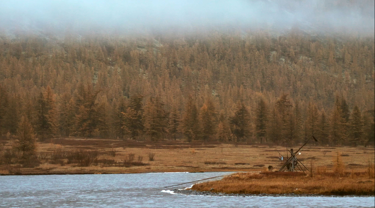 Кадр из фильма