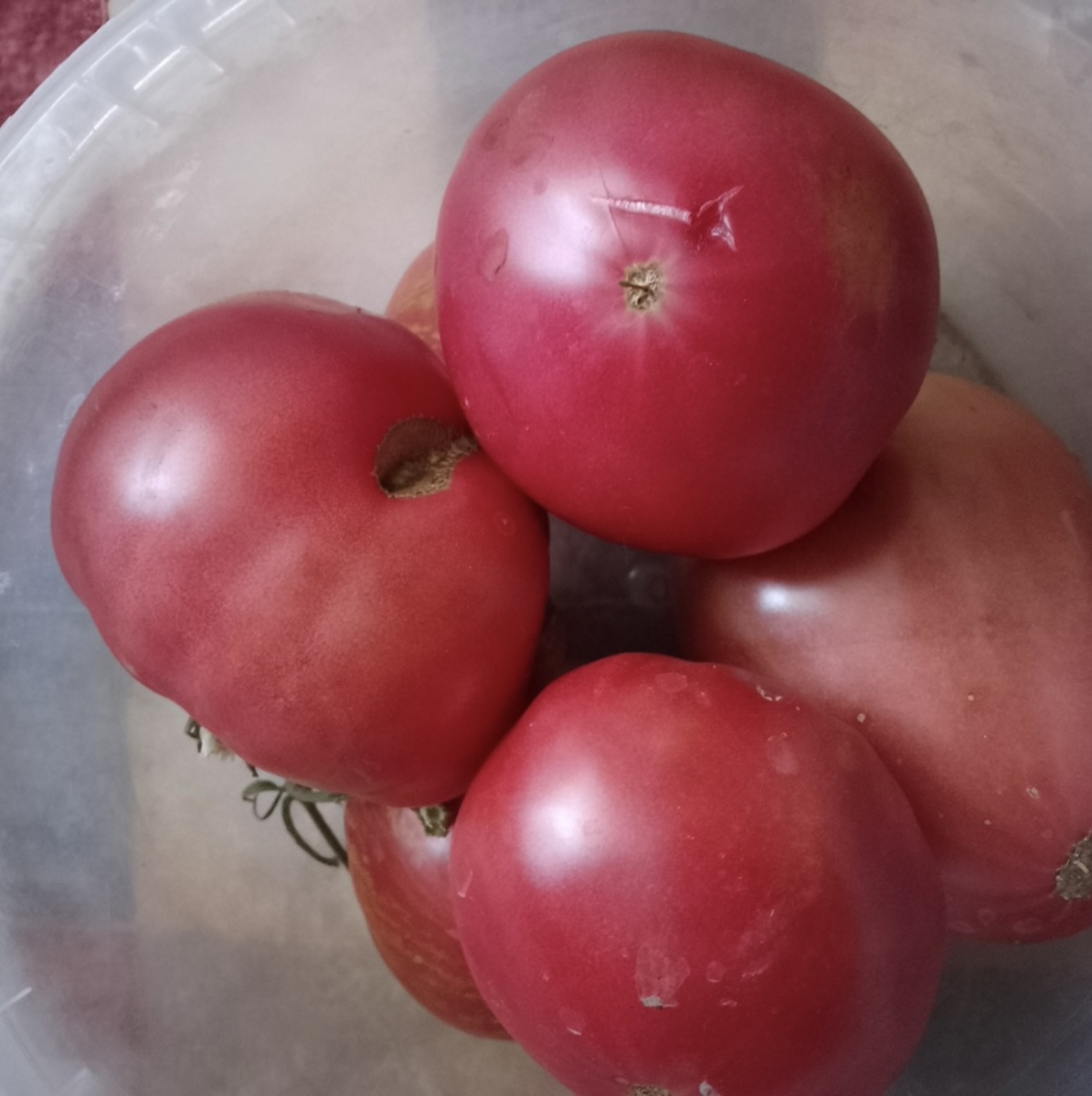 Фотография от читательницы Валентины