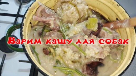 каша для собак