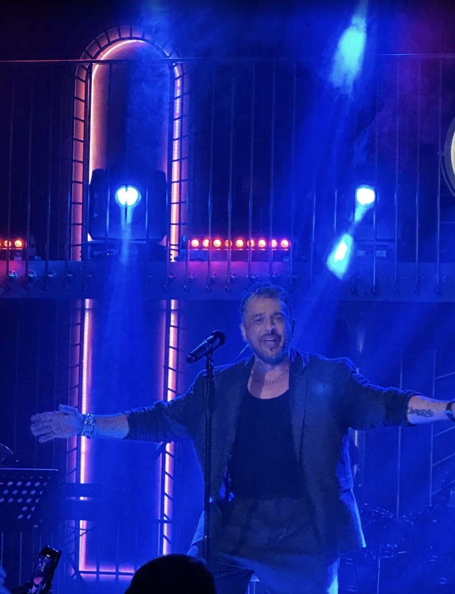 На концерте