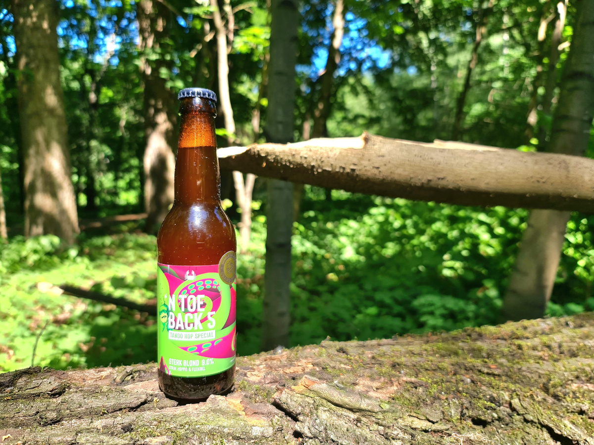 'n Toeback 5 - Tango, фото автора