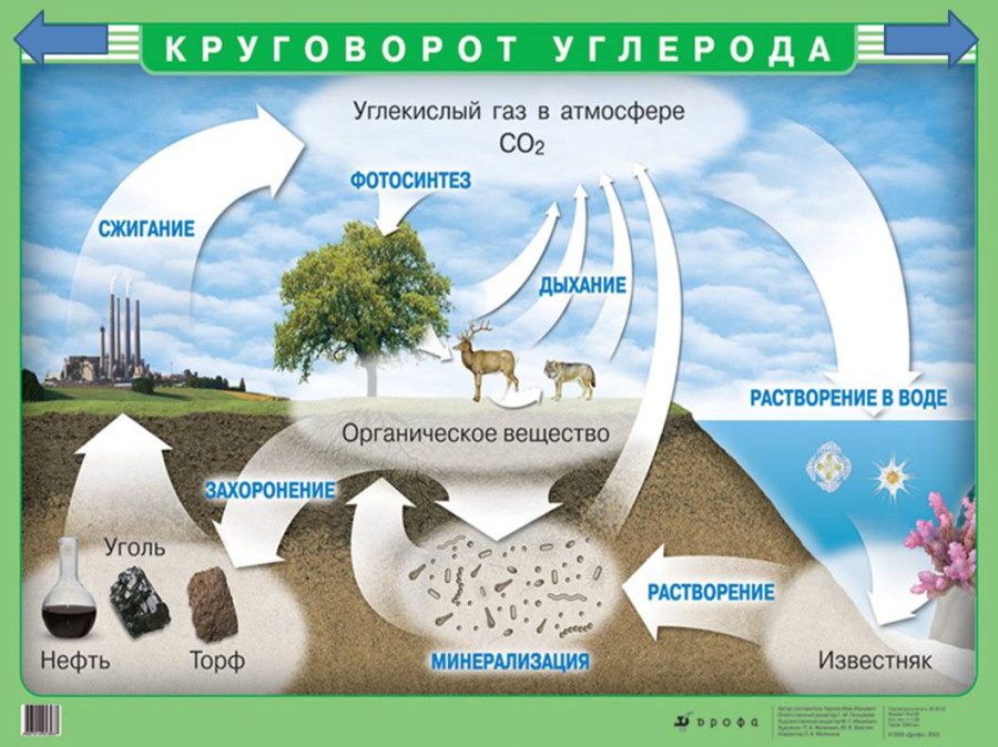 В 2019 году по всем телеканалам и в интернете завирусился клип со встречи мировых лидеров в ООН.-2