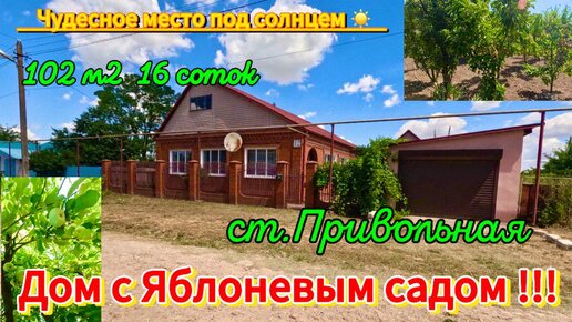 🌴🌴🌴Дом с Яблоневым садом! 102 м2🦯16 соток🦯газ🦯вода🦯баня🦯6 000 000 ₽ станица Привольная 🦯89245404992