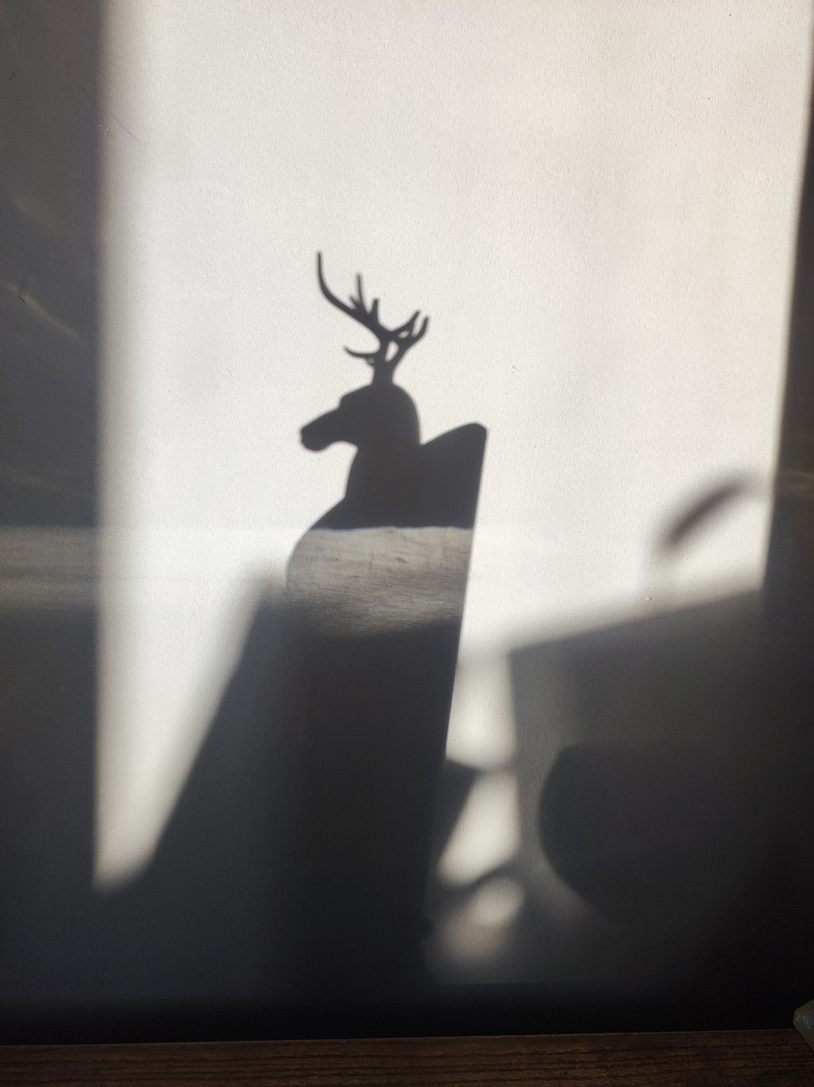 Фото автора. Настроение февраля...