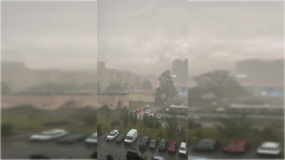 Фото: Соцсети