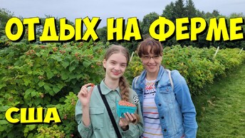 Отдых на ферме США