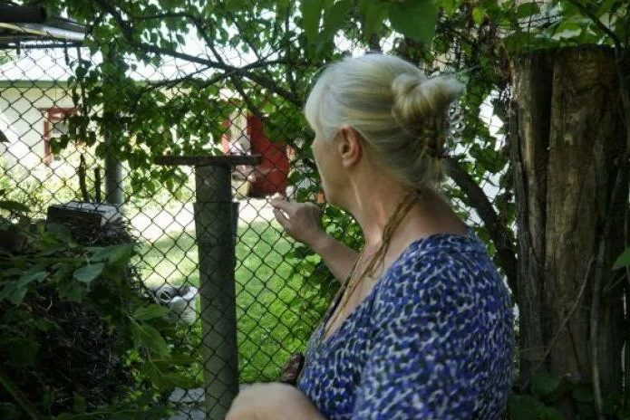 Яндекс картинки