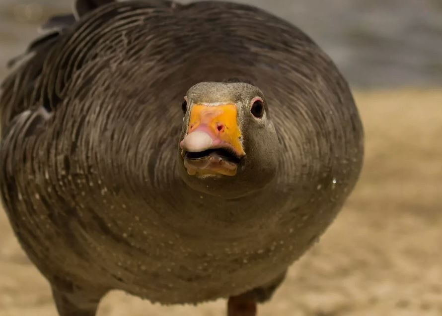 Прямо удивили...