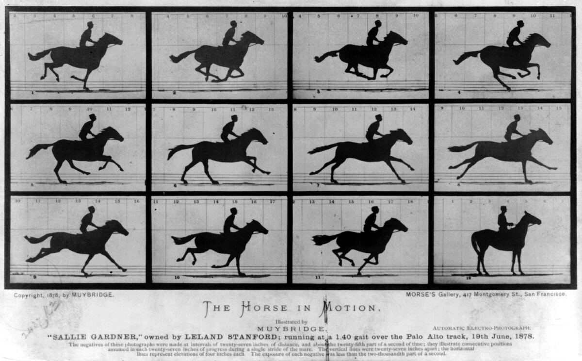 «Ложный старт»  Эдгар Дега, 1870  Художественная галерея Йельского университета, Нью-Хейвен    Дега был увлечён лошадьми. Нет, он не проигрывал состояние на скачках: он писал жокеев.-2