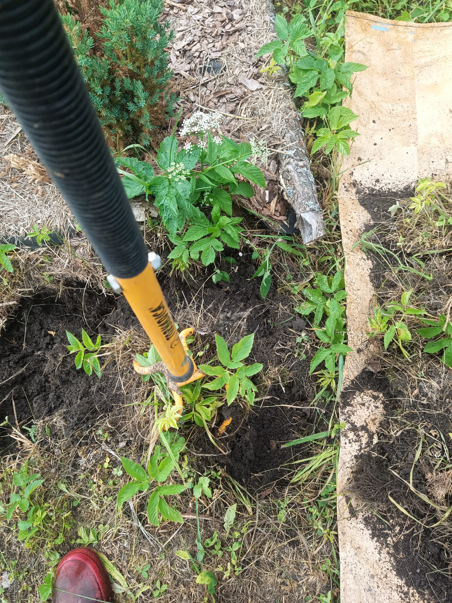 Отрываем и ставим