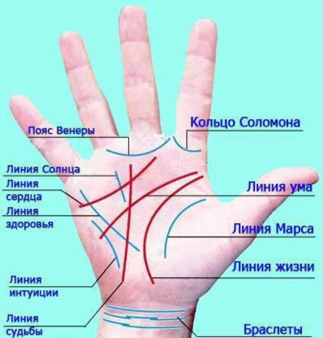 Главные и некоторые второстепенные линии ладони. overone.ru