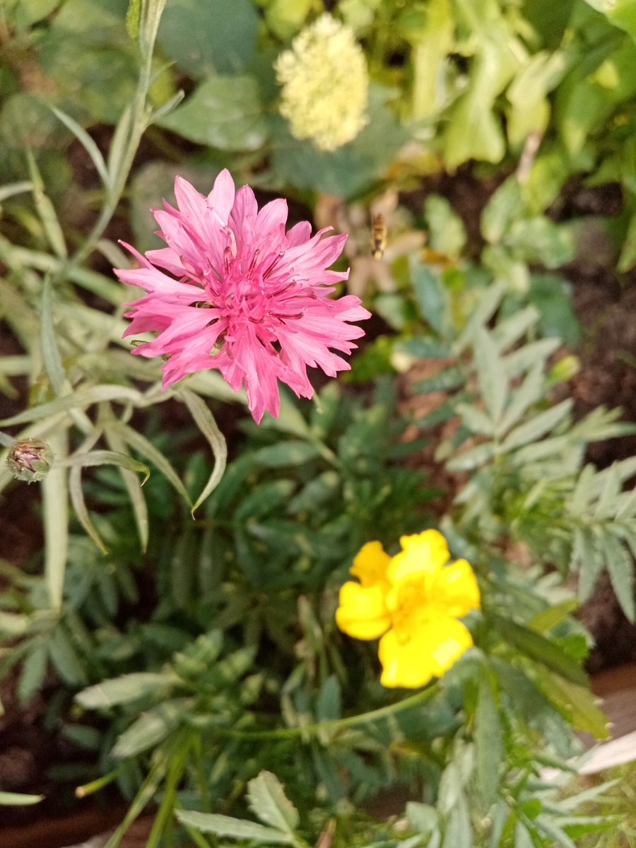 Фото из личного архива.