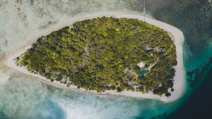 Источник:Freepik