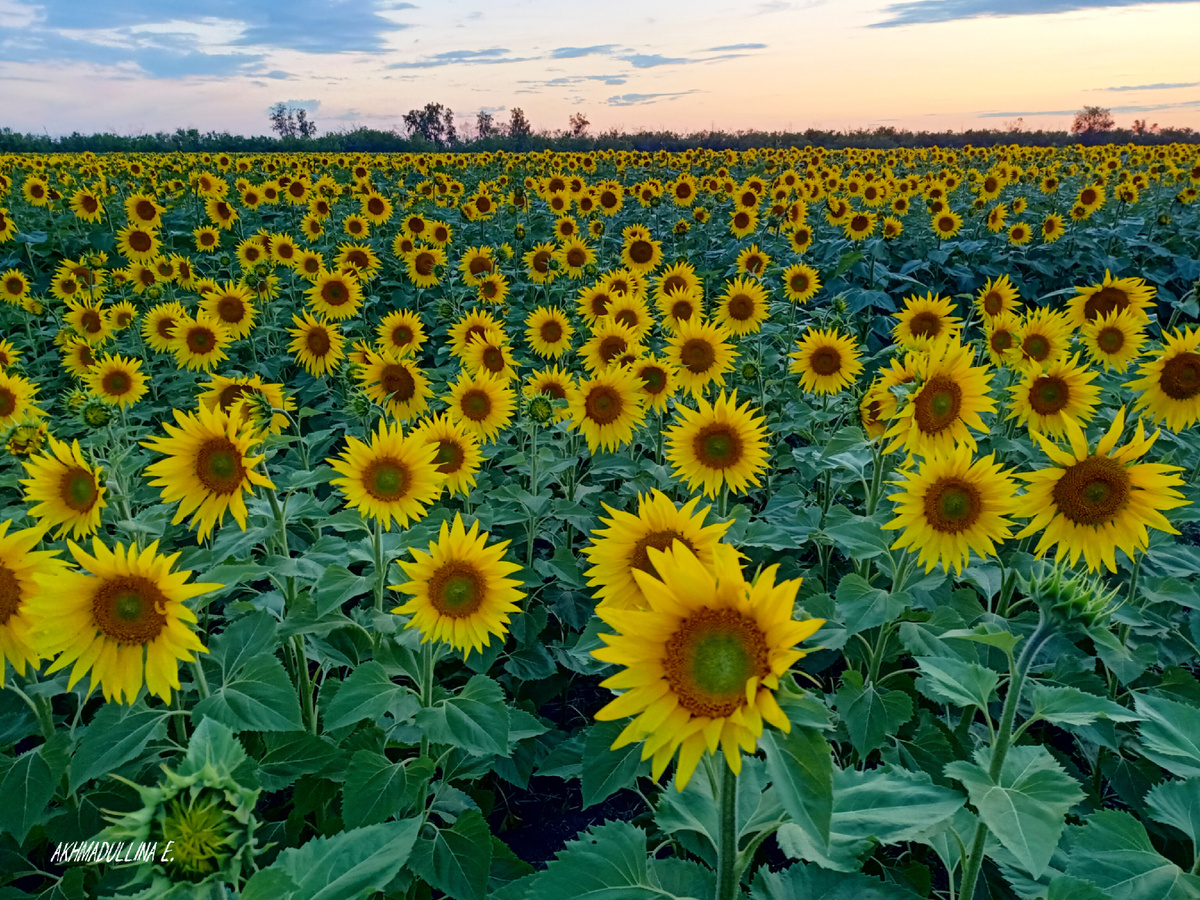 Фото сделано в нашем Троицком районе 