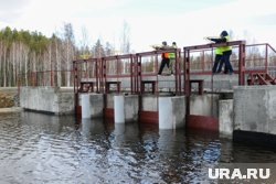    Унесенный рекой мусор и деревья грозили повреждением сооружения