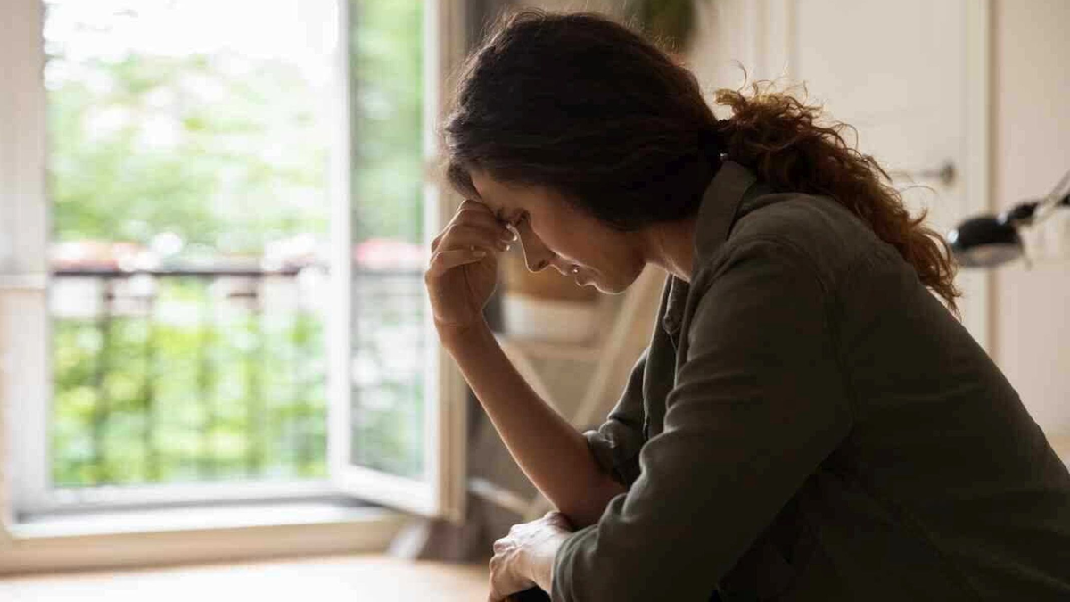 Фото из открытых источников Яндекс 