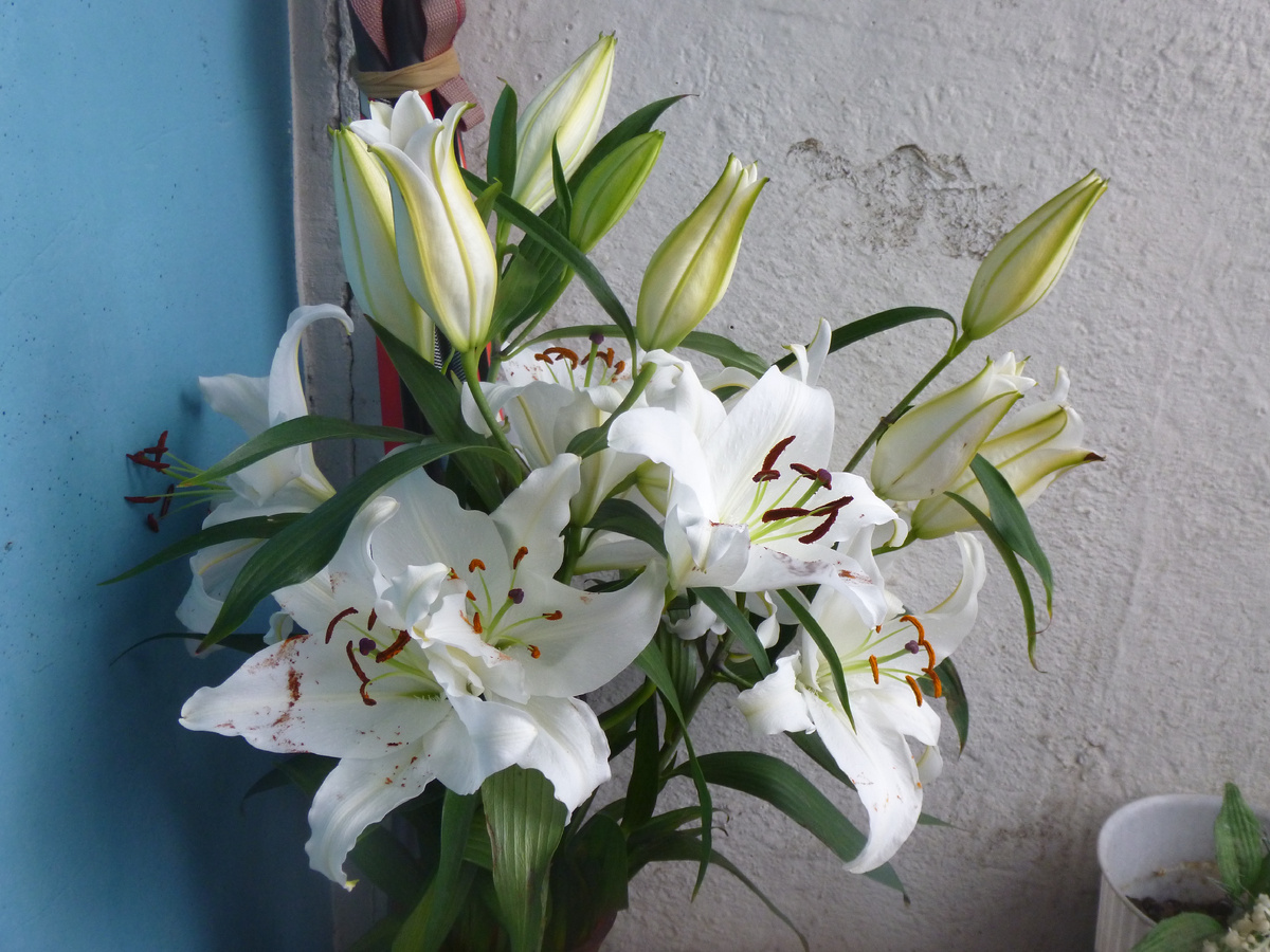 букет белых лилий для украшения публикации, фото Юлии Стрелецкой