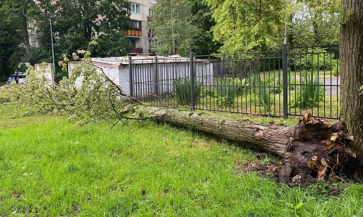 Фото: пресс-служба прокуратуры Санкт-Петербурга 