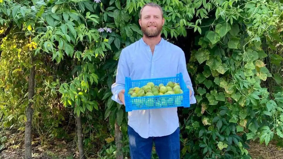 Фото:Telegram-канал губернатора Краснодарского края Кубанский фермер Александр Кудленко рассчитывает зарегистрировать собственный сорт маракуйи до конца 2024 года