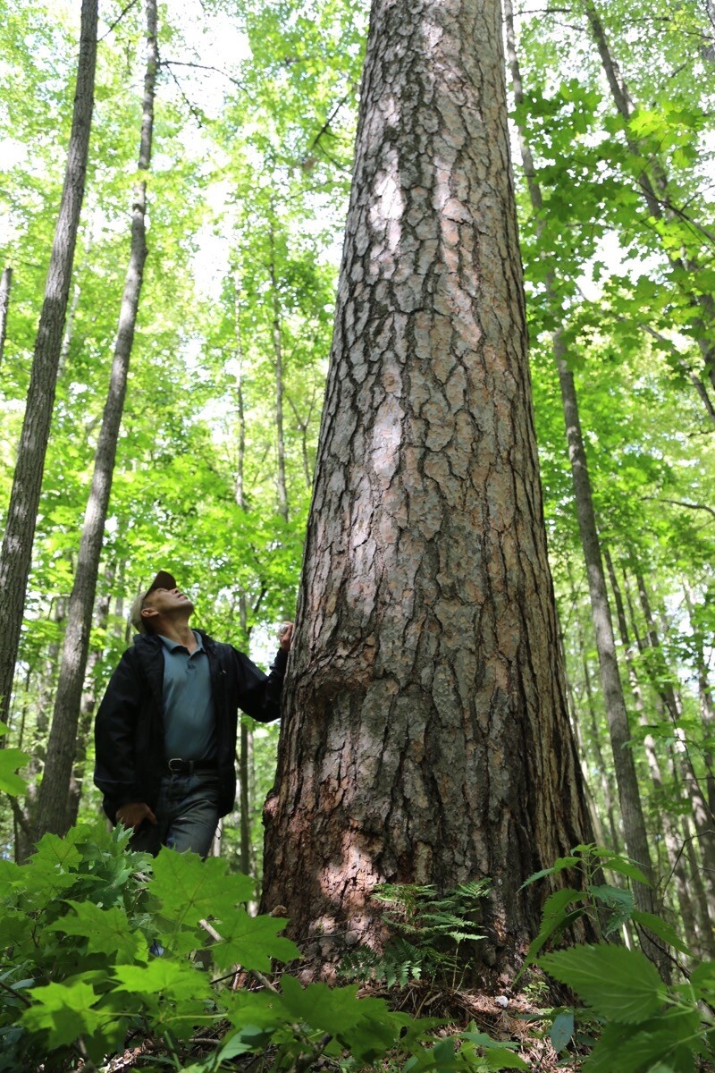 
Источник фото: сайт Раифского заповедника
Предоставлено автором
