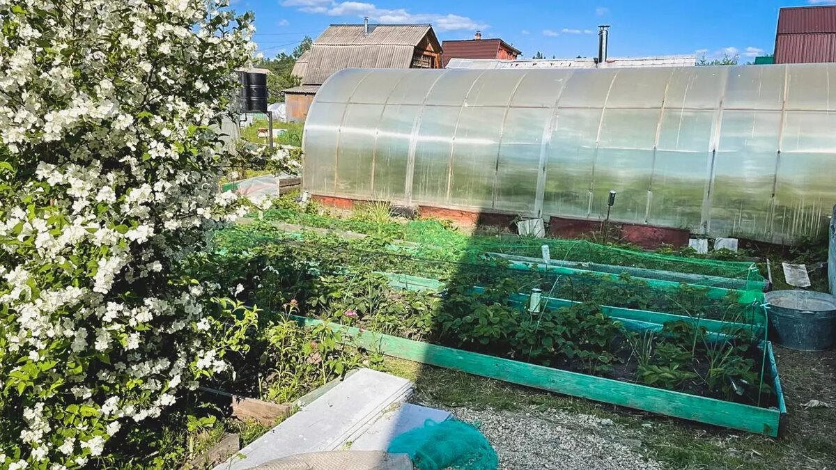      Источник: 1MI