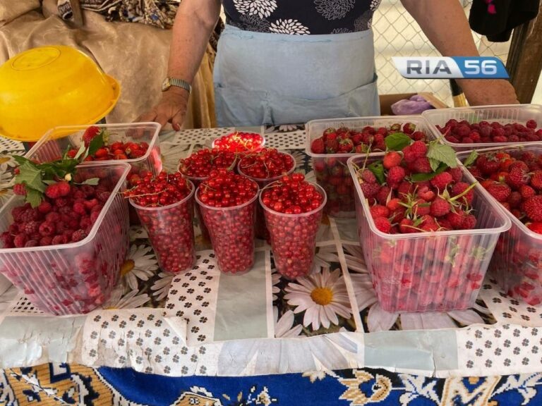    На прилавках Оренбурга появились местные ягоды, овощи и зелень Андрей Севостьянов