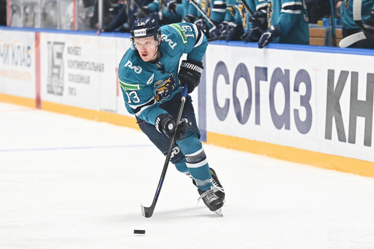 ​Фото: hcsochi.ru
