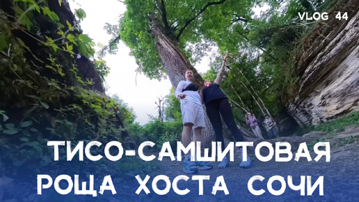 Прогулка по Тисо-самшитовой роще в Хосте. Сочи 2024🌳