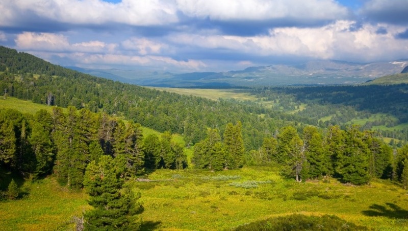 Фото: @bearfotos / ru.freepik.com