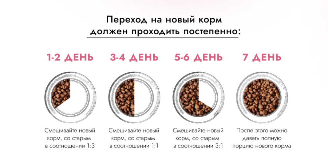 Схема перевода питомца с одного корма на другой