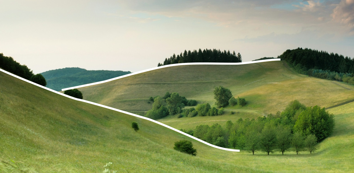 Источник: Авторский материал пользователя платформы. Источник фото: Unsplash (https://unsplash.com/)