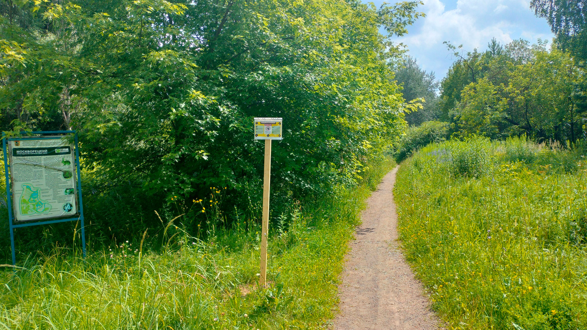 Тропа на прогулочную территорию возле пруда на реке "Гнилуша".