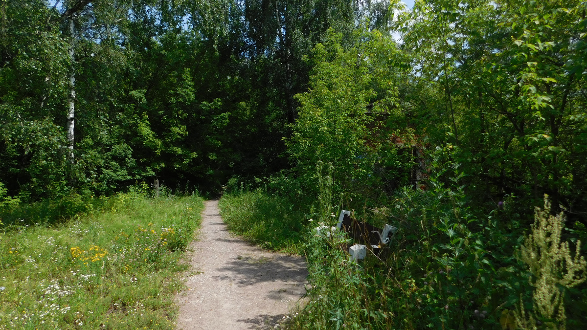 Скамейка возле тропы.