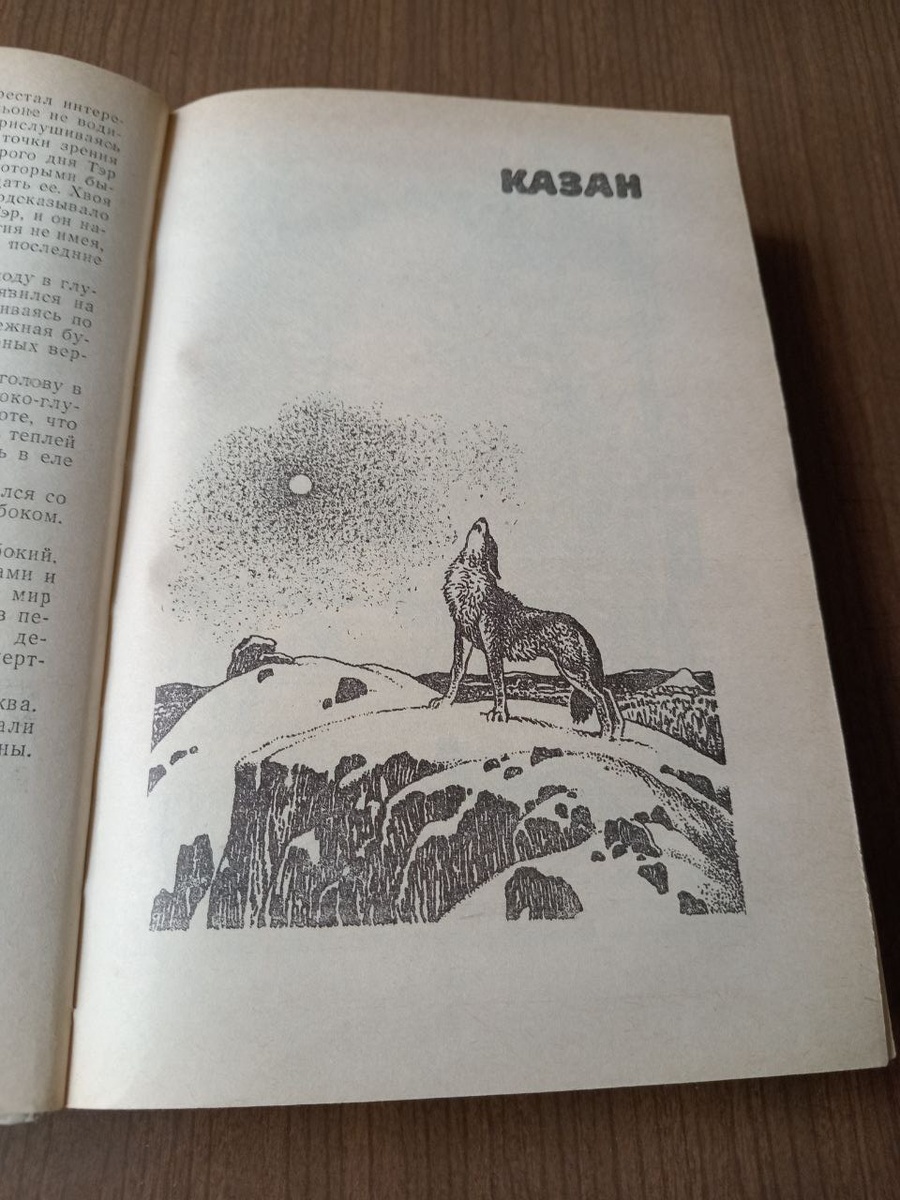 Джеймс Кервуд - автор интереснейших книг о дикой природе Северной Америки.  | Книгочей | Дзен