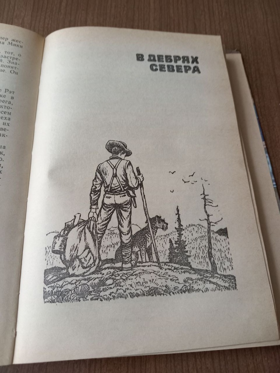 Джеймс Кервуд - автор интереснейших книг о дикой природе Северной Америки.  | Книгочей | Дзен