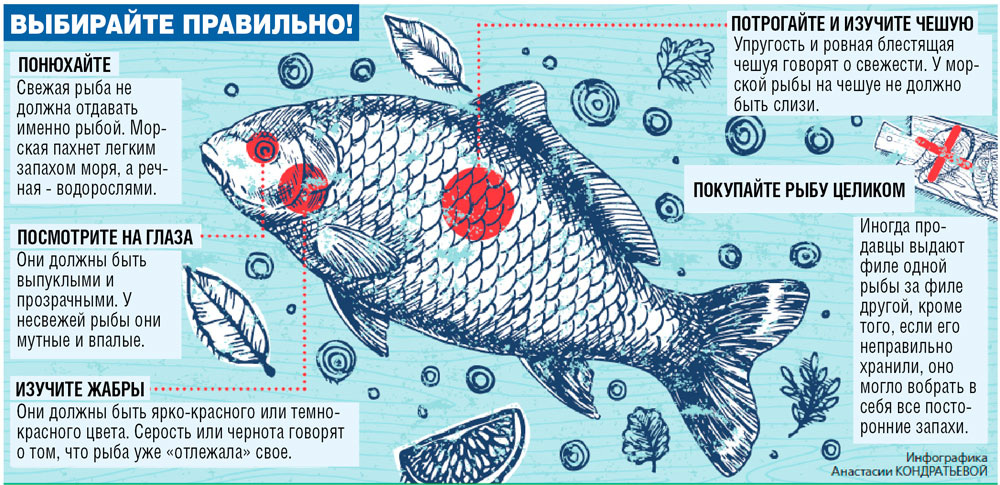    Нажмите для увеличения. Фото: АиФ