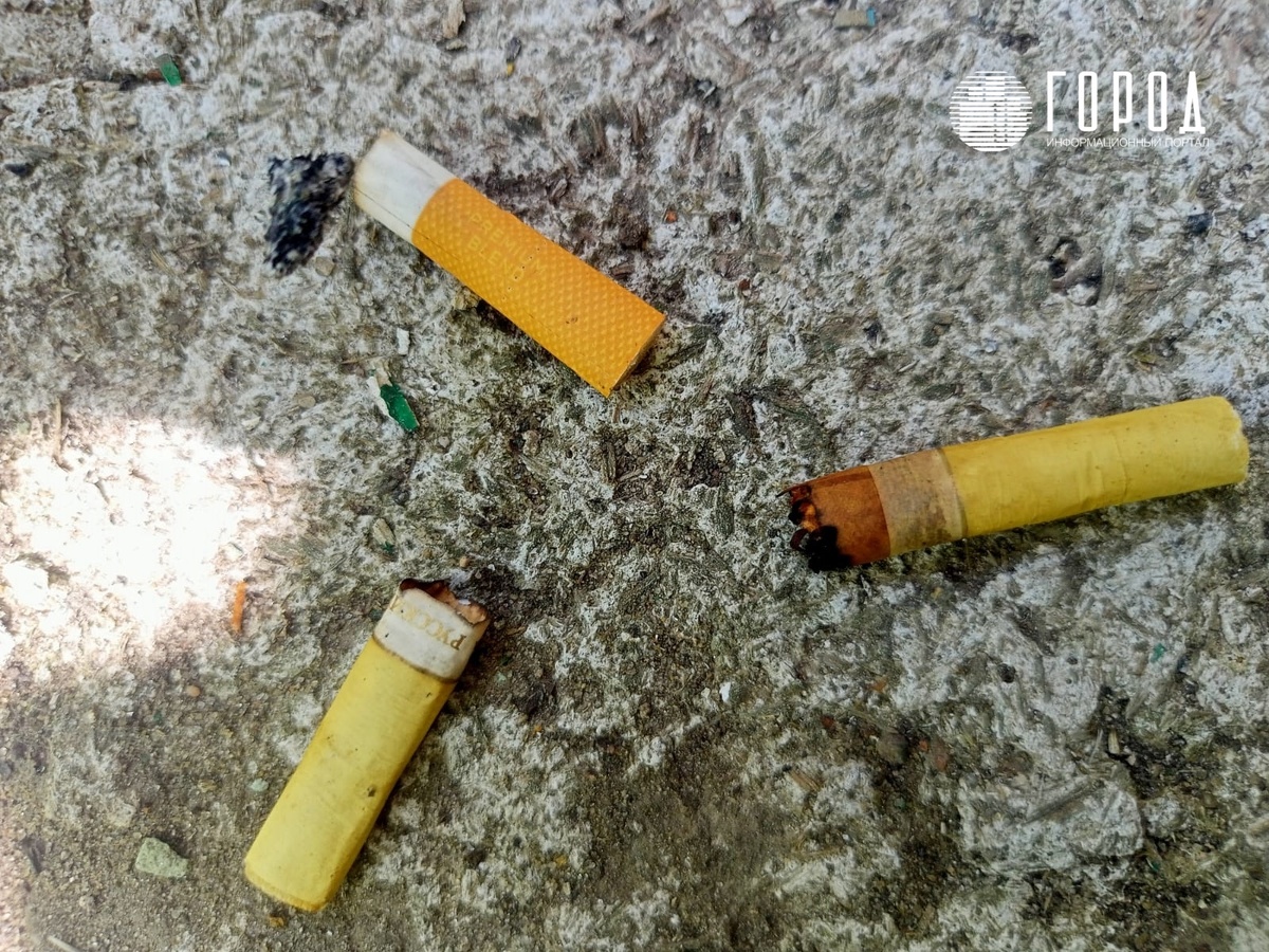 Фото: новости Краснодара "Город" 